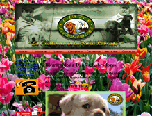 Tablet Screenshot of labradoresdemexico.com